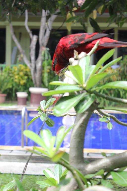 Hotel Puri Nusantara Кута Экстерьер фото